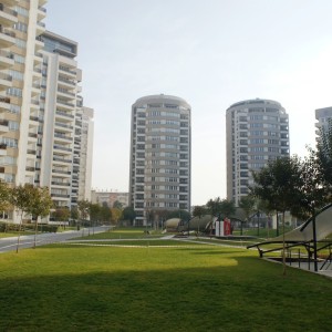 Koru Park