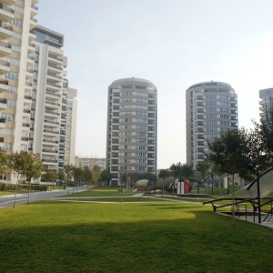 Koru Park